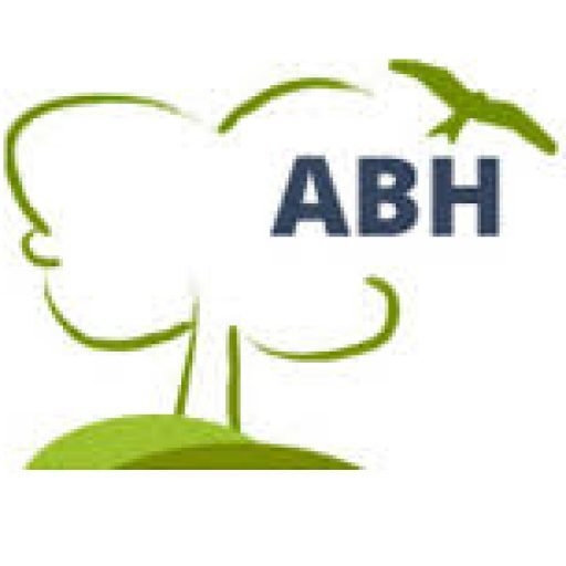 ABH Süderelbe GmbH